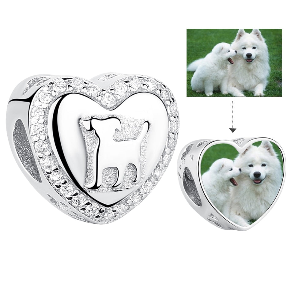 Charm My Dog - Personalizável