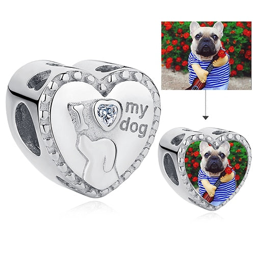 Charm My Dog - Personalizável
