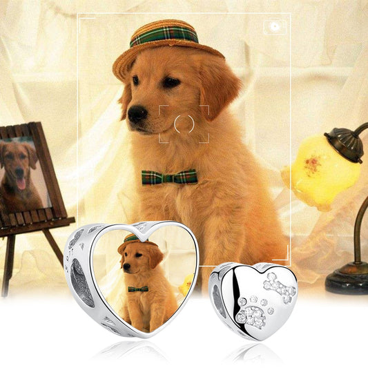 Charm Dog Crystal - Personalizável